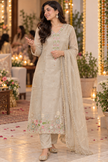 Light Grey Embroidered Dupatta Suit
