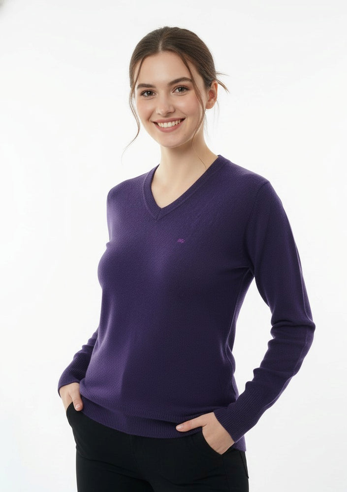 Purple V-Neck Winter Sweater